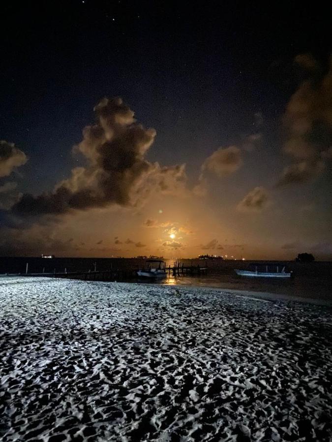 Mamartupo San Blas Wild Bed & Breakfast エクステリア 写真